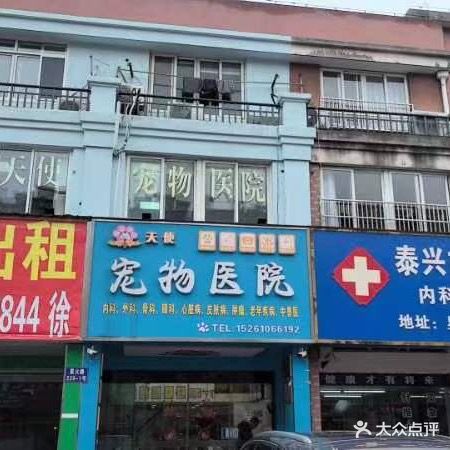泰兴天使宠物医院