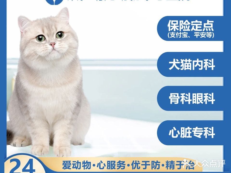 众仁·萌宠动物诊疗中心猫专科