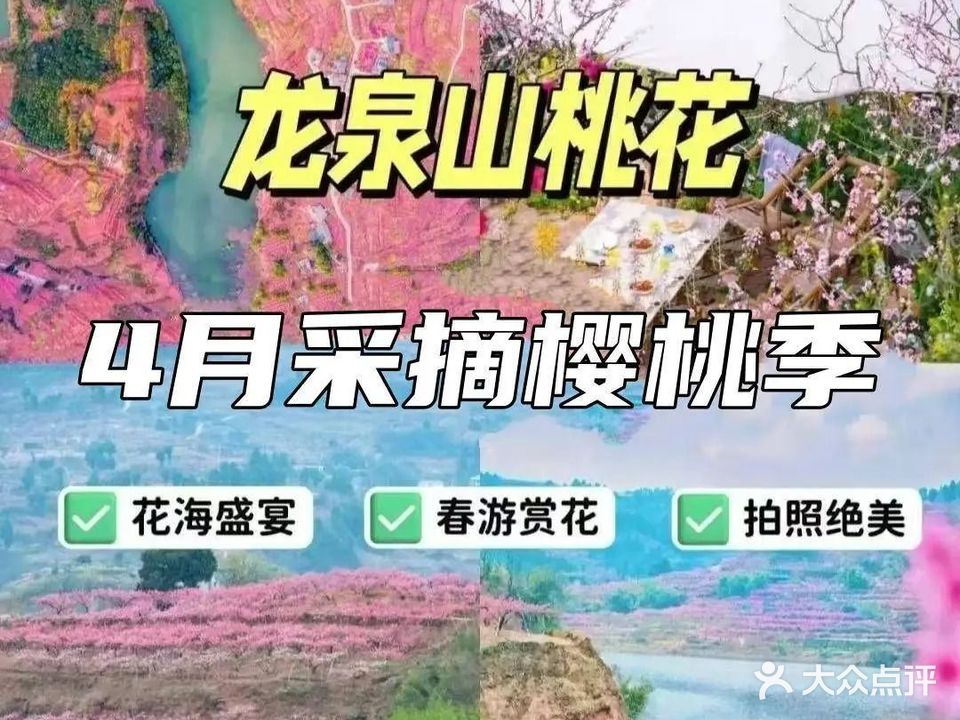 桃林轩山庄·团建采摘·烧烤·柴火鸡(龙泉山店)
