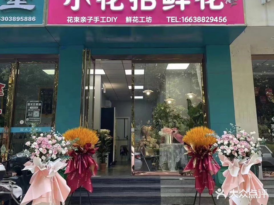 小花招鲜花(龙康小区A区店)