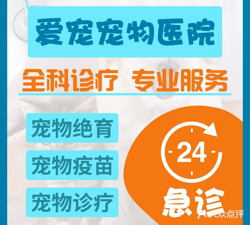 爱宠宠物医院