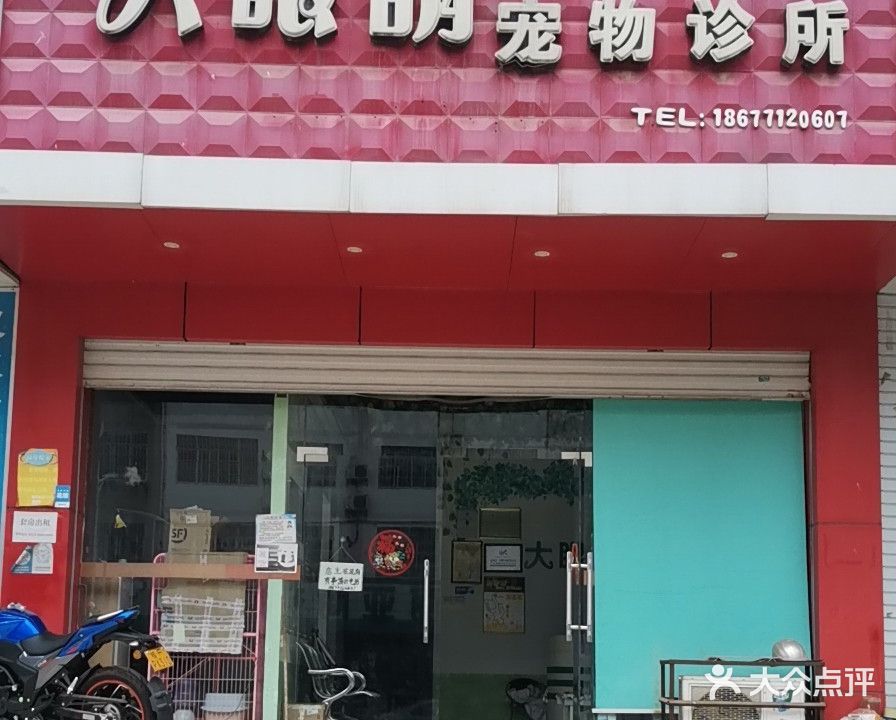 大眼萌宠物诊所