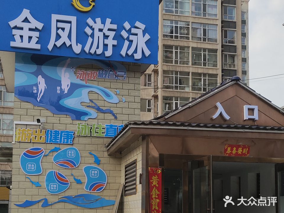 金凤游泳