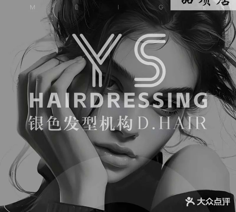 D·Hair银色发型机构(齐盛湖店)