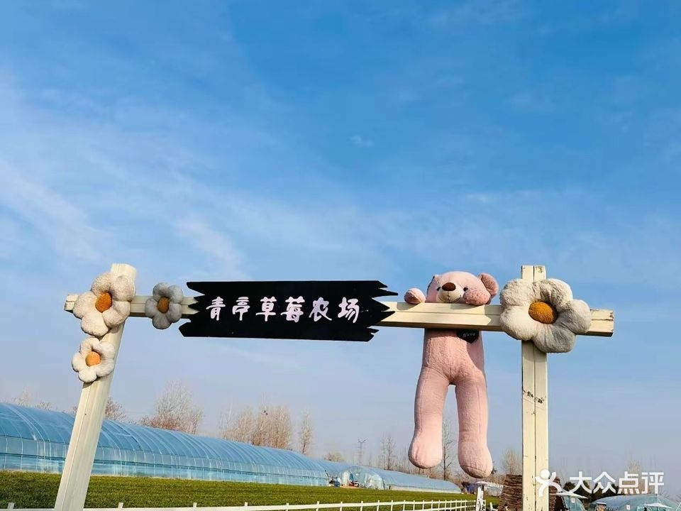 大寺青亭草莓采摘園
