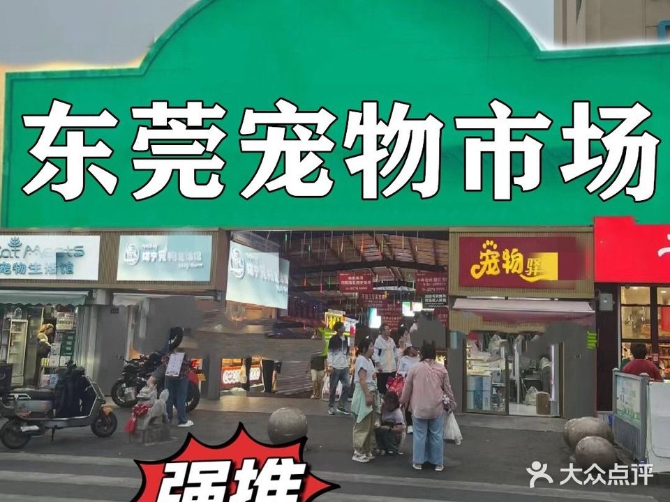 壹佳宠物猫舍犬舍宠物基地宠物店