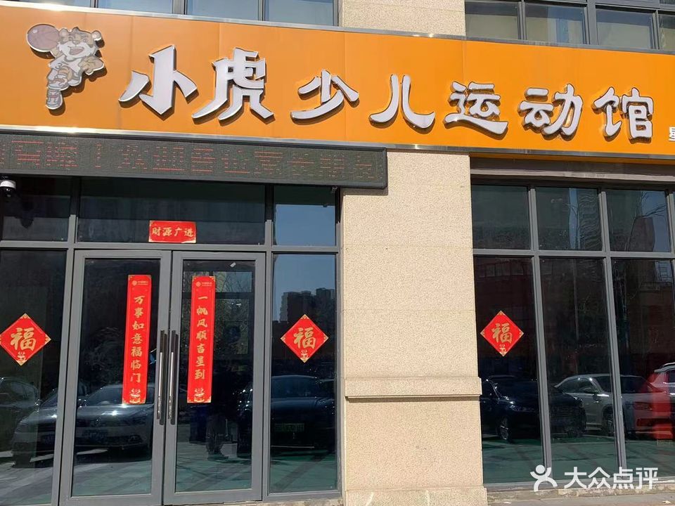 小虎篮球
