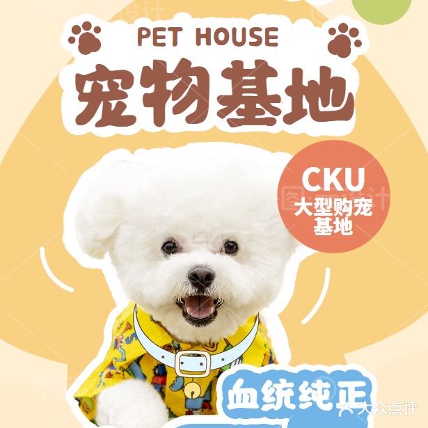 宠物店