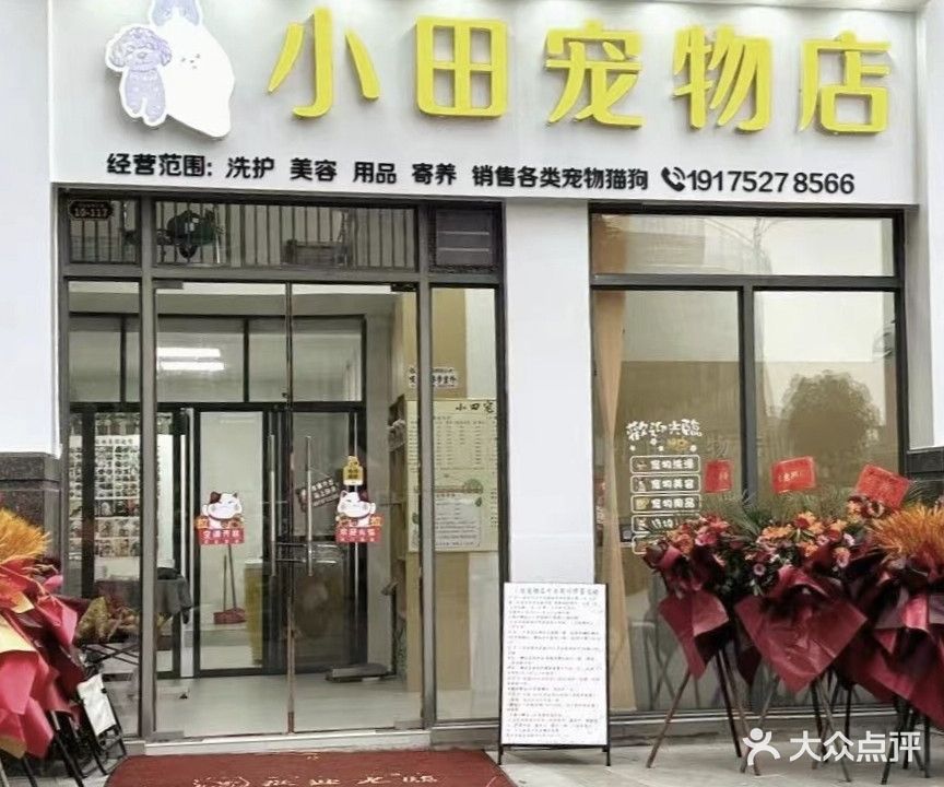 小田宠物店