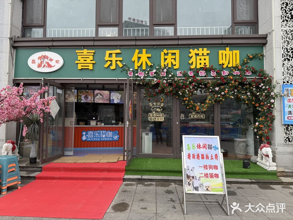 喜乐休闲猫咖