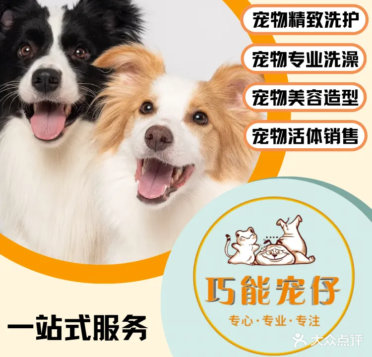 巧能宠仔宠物店