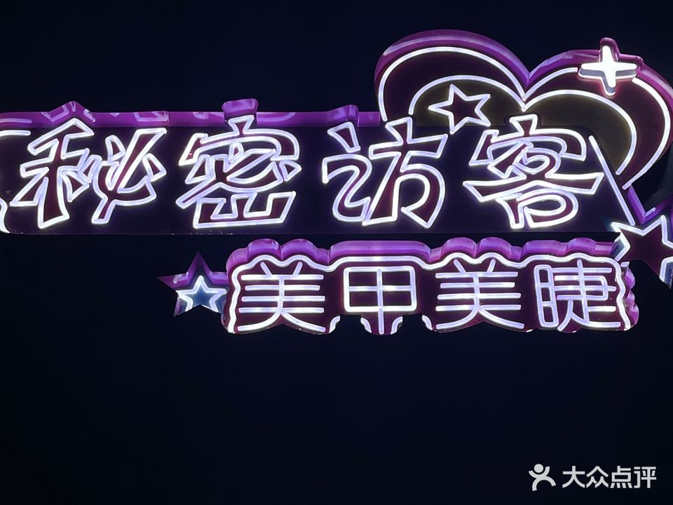 秘密访客