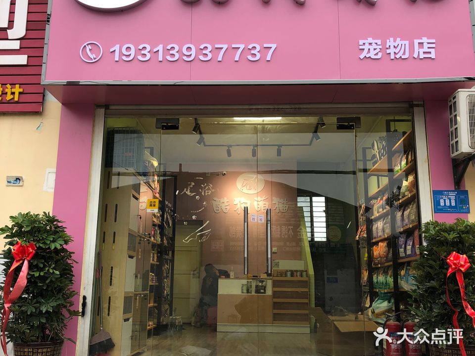 酷狗萌猫宠物店(乔营小区店)