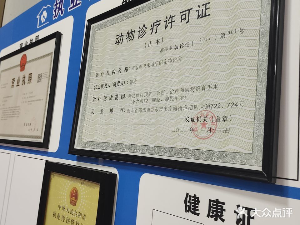 昭阳宠物诊所