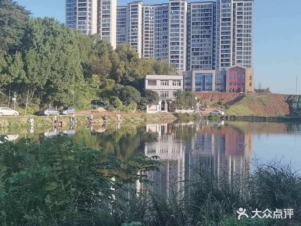 青山边钓场