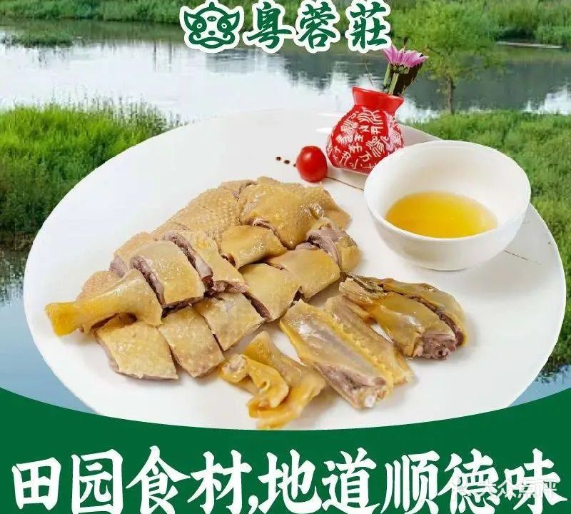 粤蓉庄·地道顺德味·正宗川菜