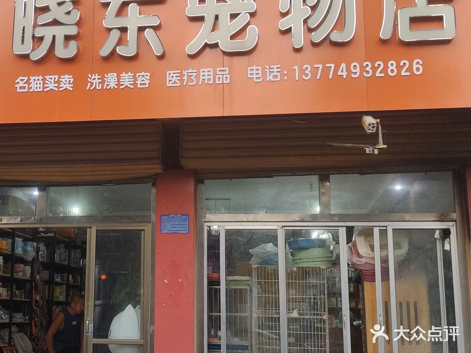 晓东宠物店