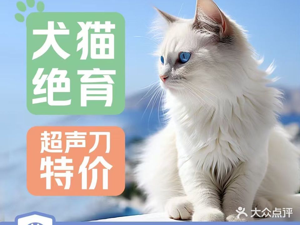 梓轩宠物医院 24小时(柯桥分院)