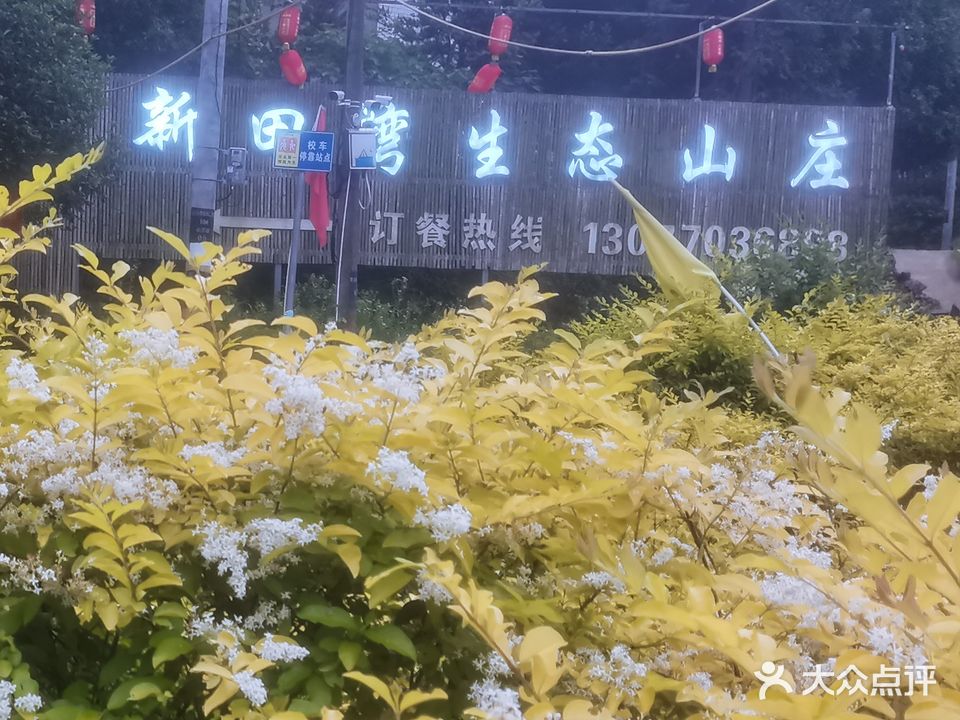 新田湾生态山庄