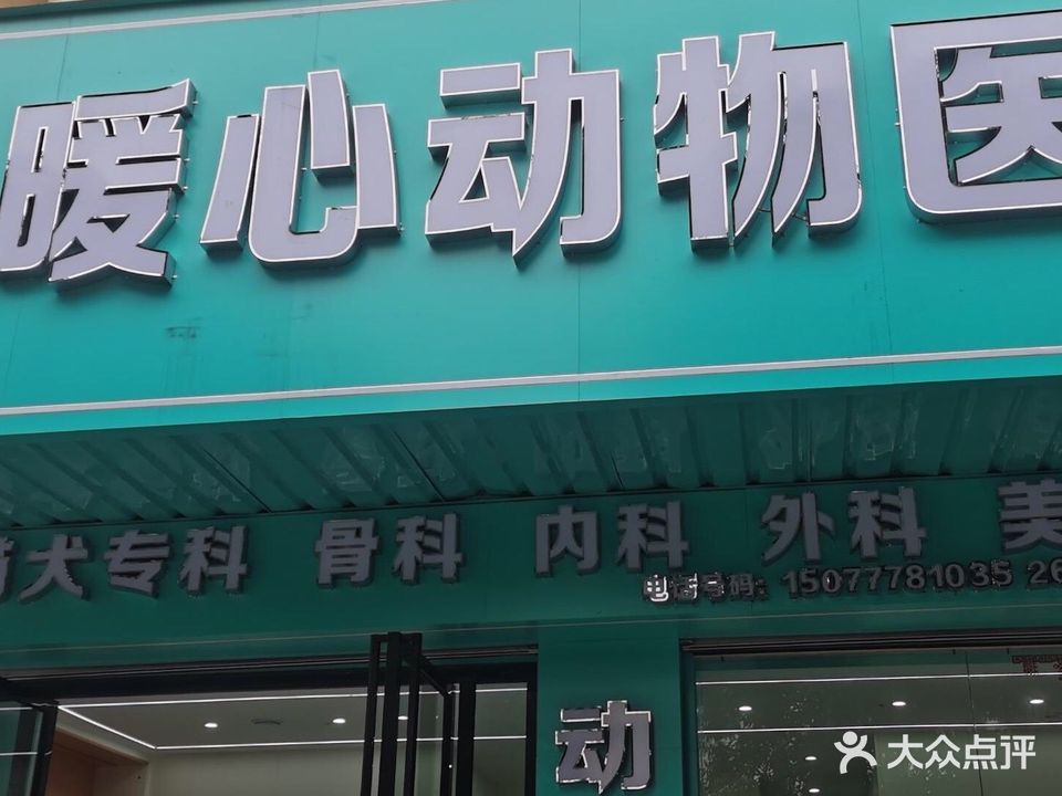 暖心动物医院