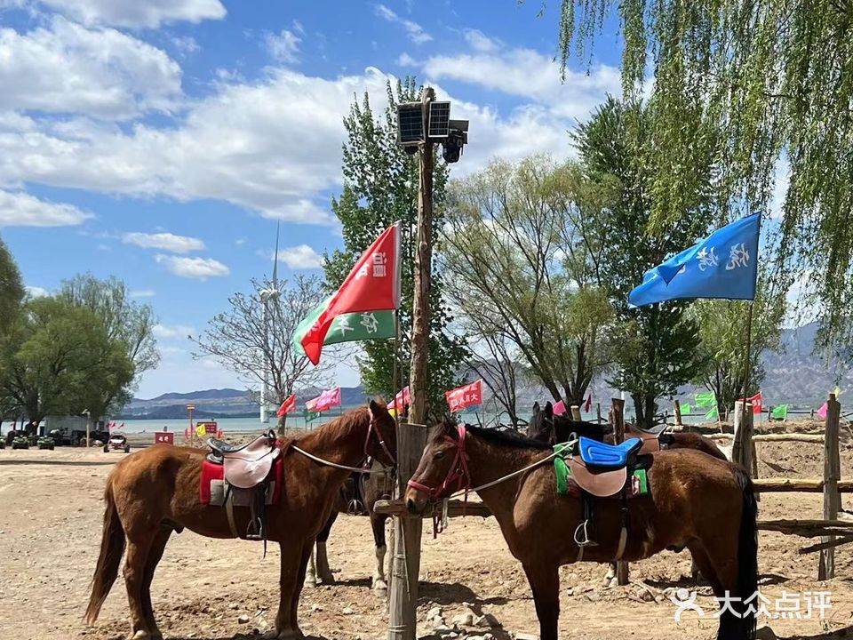 京西草原温哥野骑大队