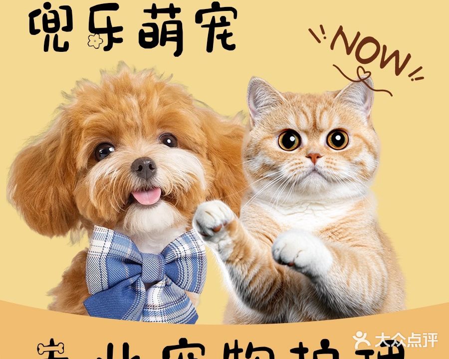 兜乐萌宠(临江新天地烟山苑店)