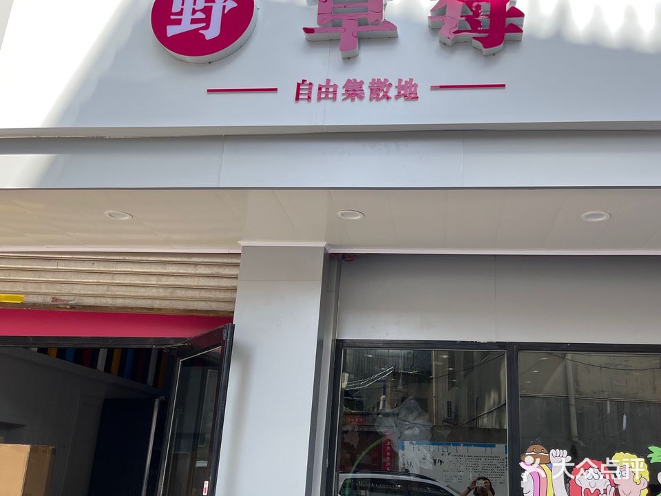 野草莓自由集散地