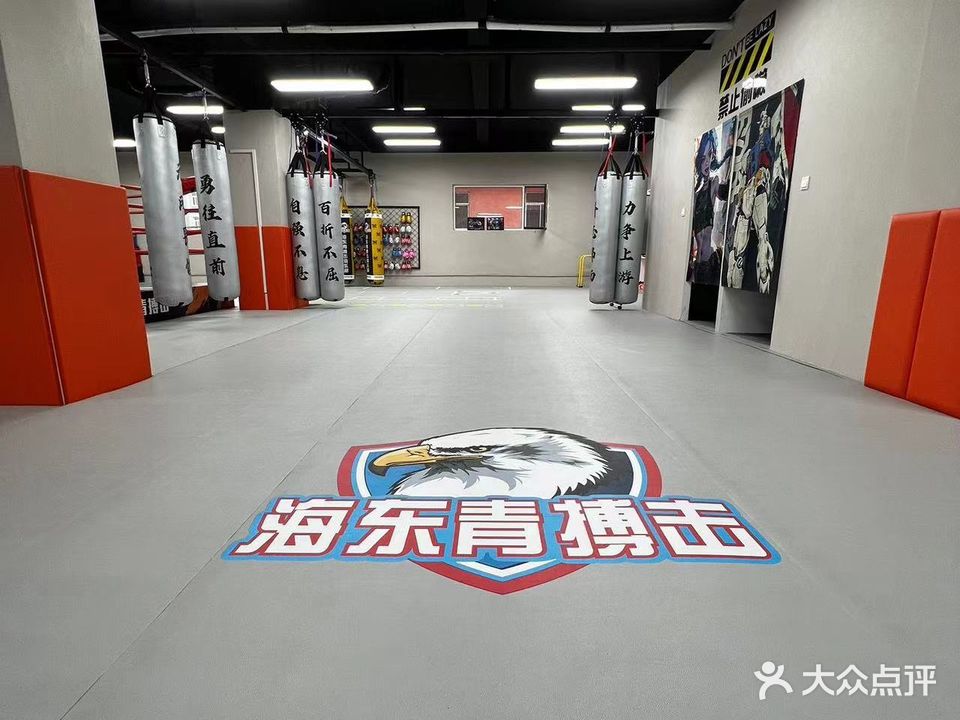海东青搏击俱乐部