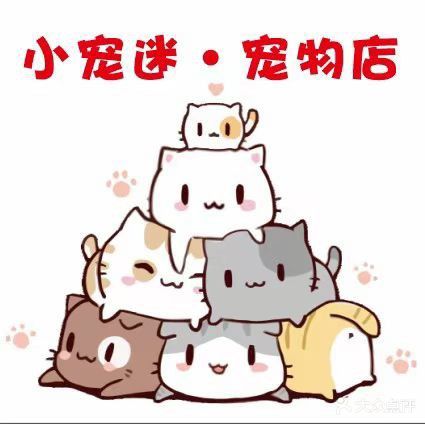 小宠迷宠物(明珠园店)