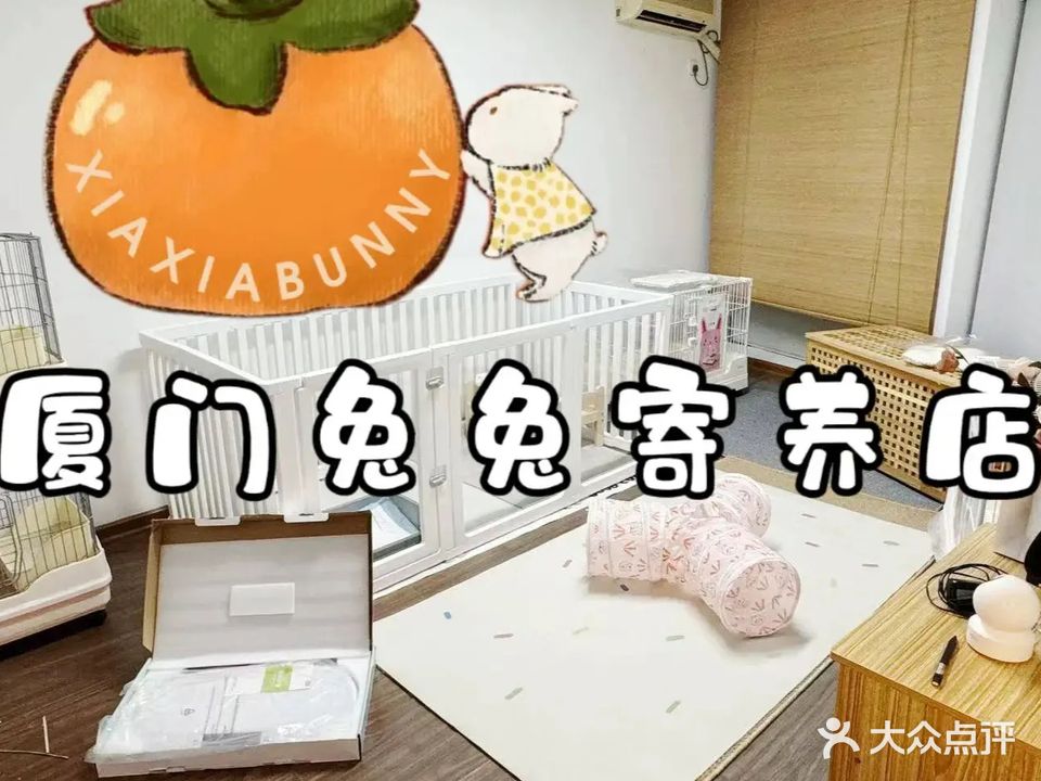 厦门兔兔寄养专门店