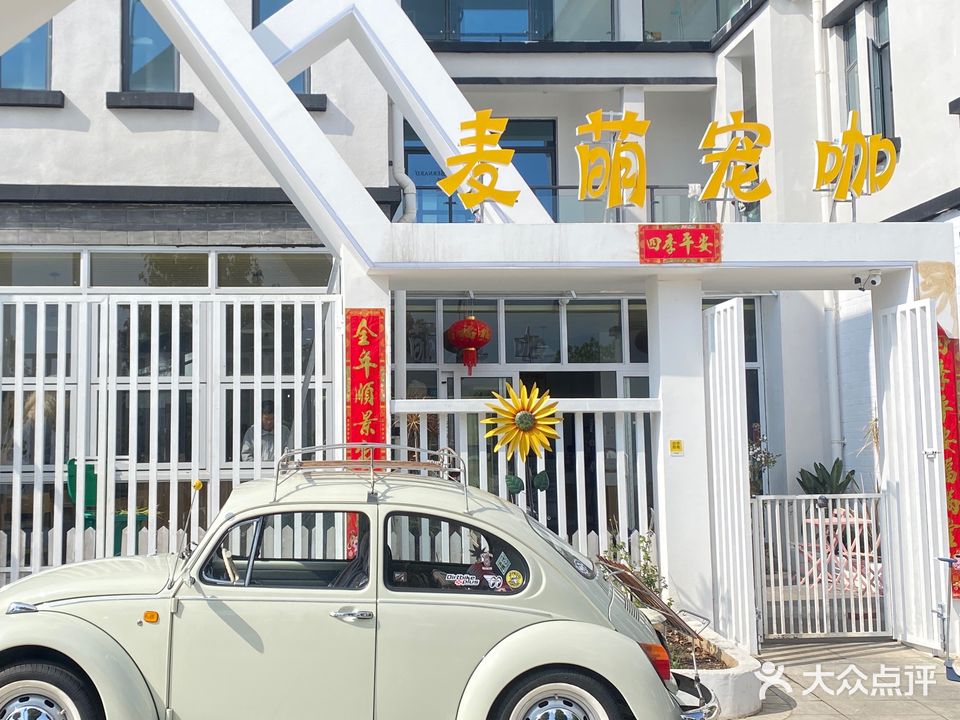 麦萌宠物咖(苍山大道店)