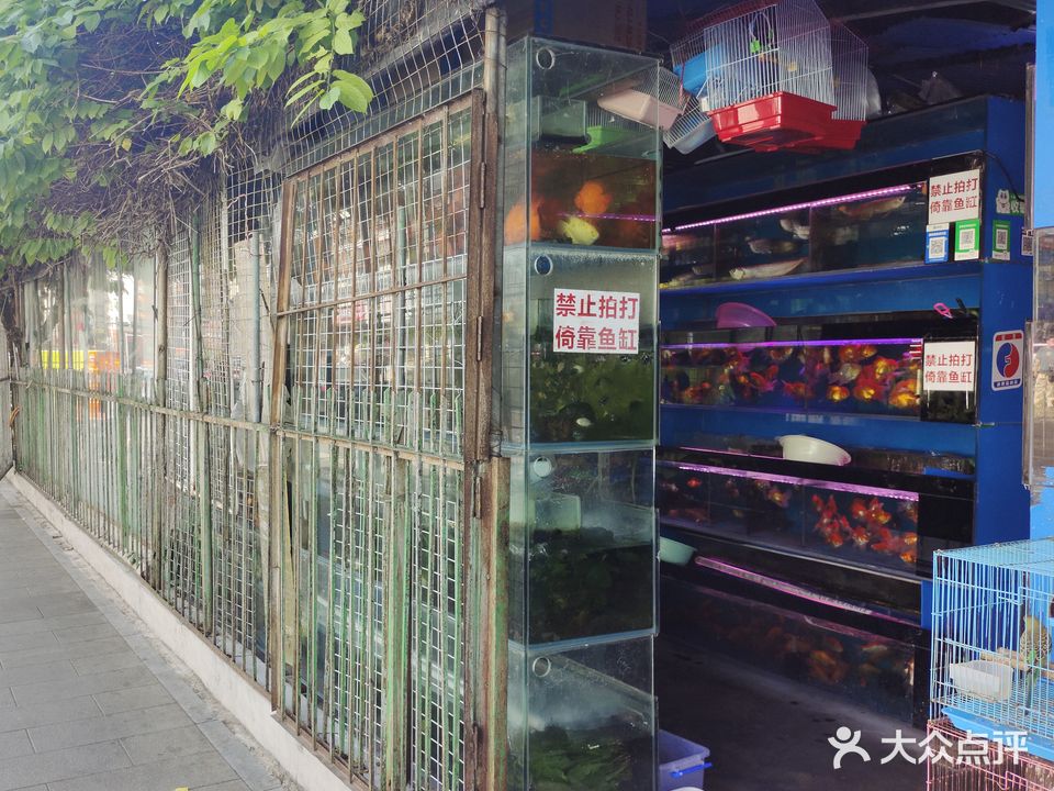 东祥水族(嘉福苑店)