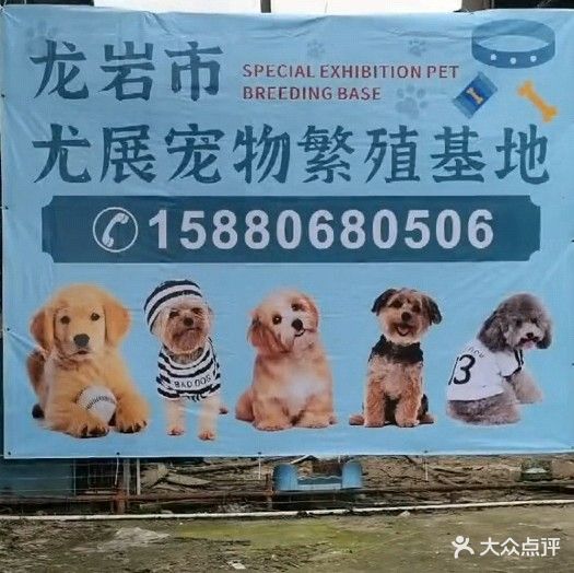 龙岩市尤展宠物繁殖基地