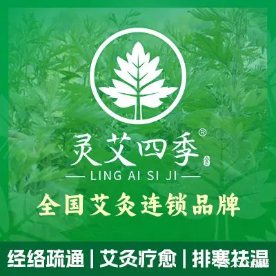 四季春艾灸馆(潜山商业街店)