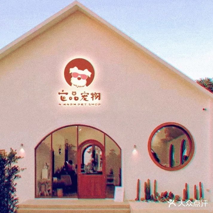 它品的宠物友好护理