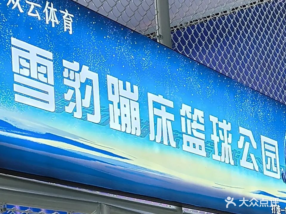 雪豹蹦床篮球公园