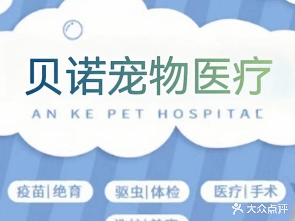 贝诺宠物医疗