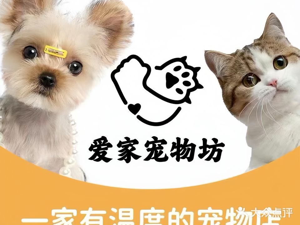 爱家宠物坊