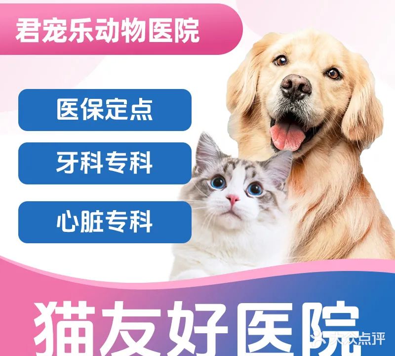 君宠乐动物医院·猫科·牙科·皮肤科·心脏科