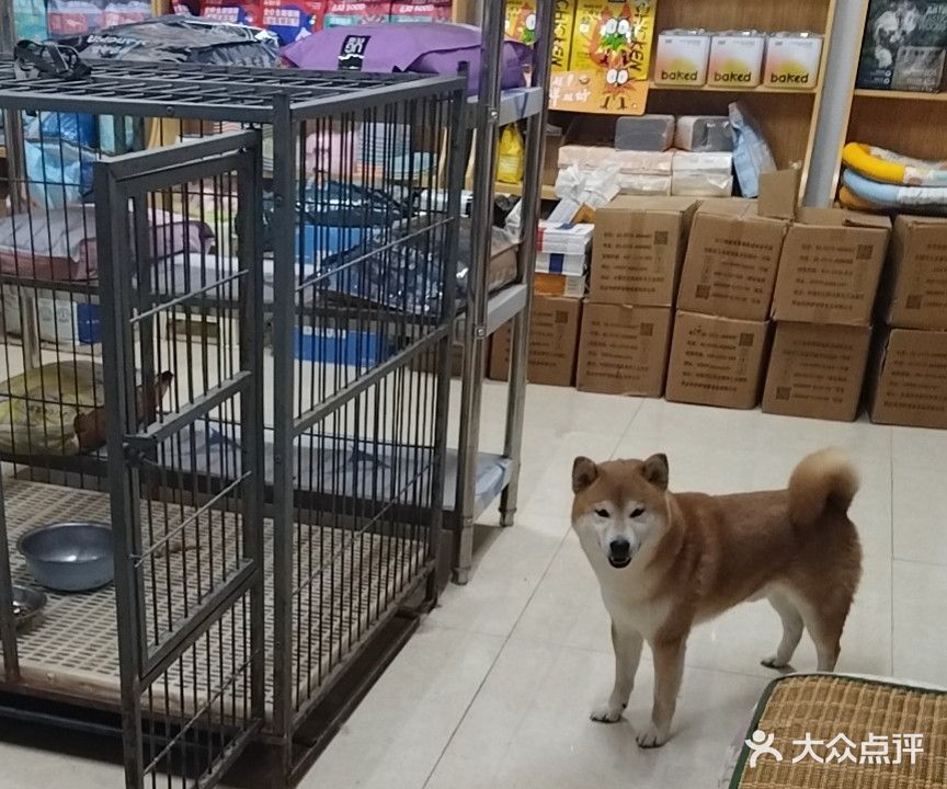 萌宠生活馆
