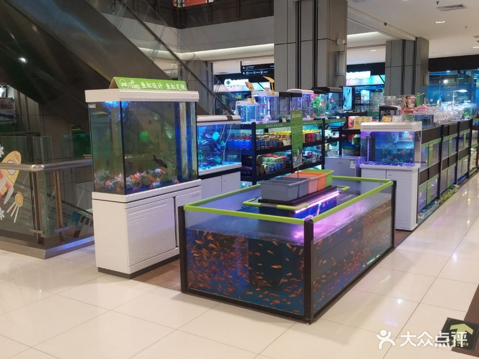 多福水族(罗宾森广场店)