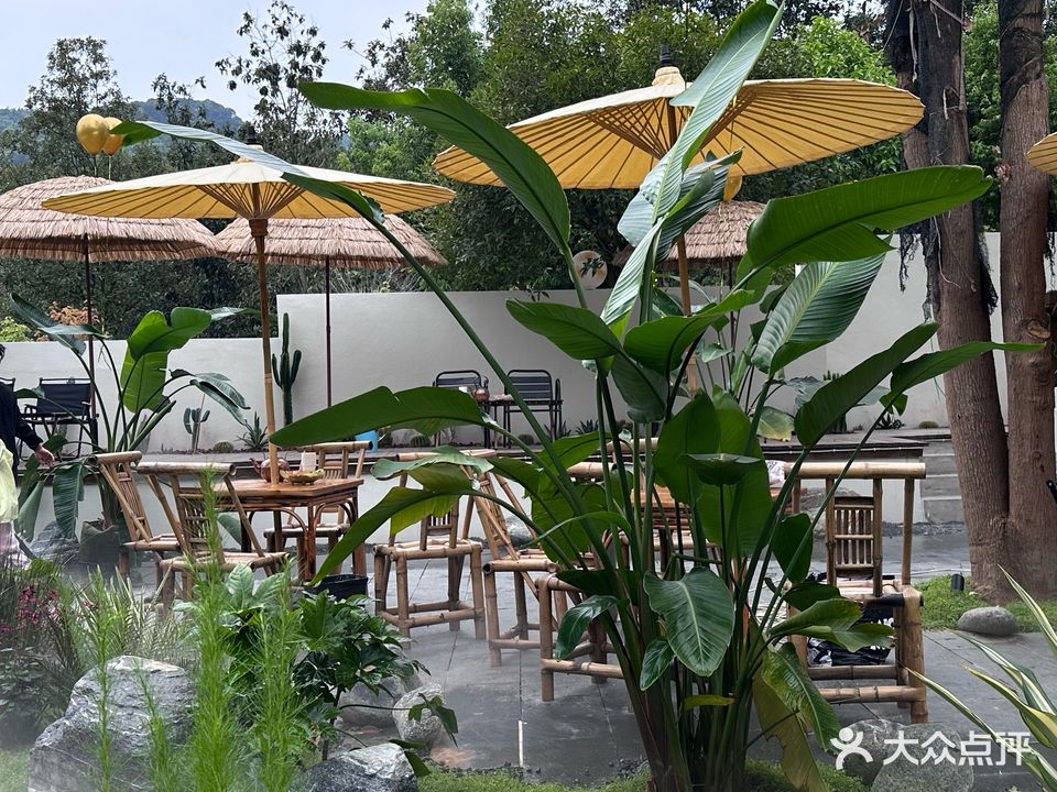 东篱小酌