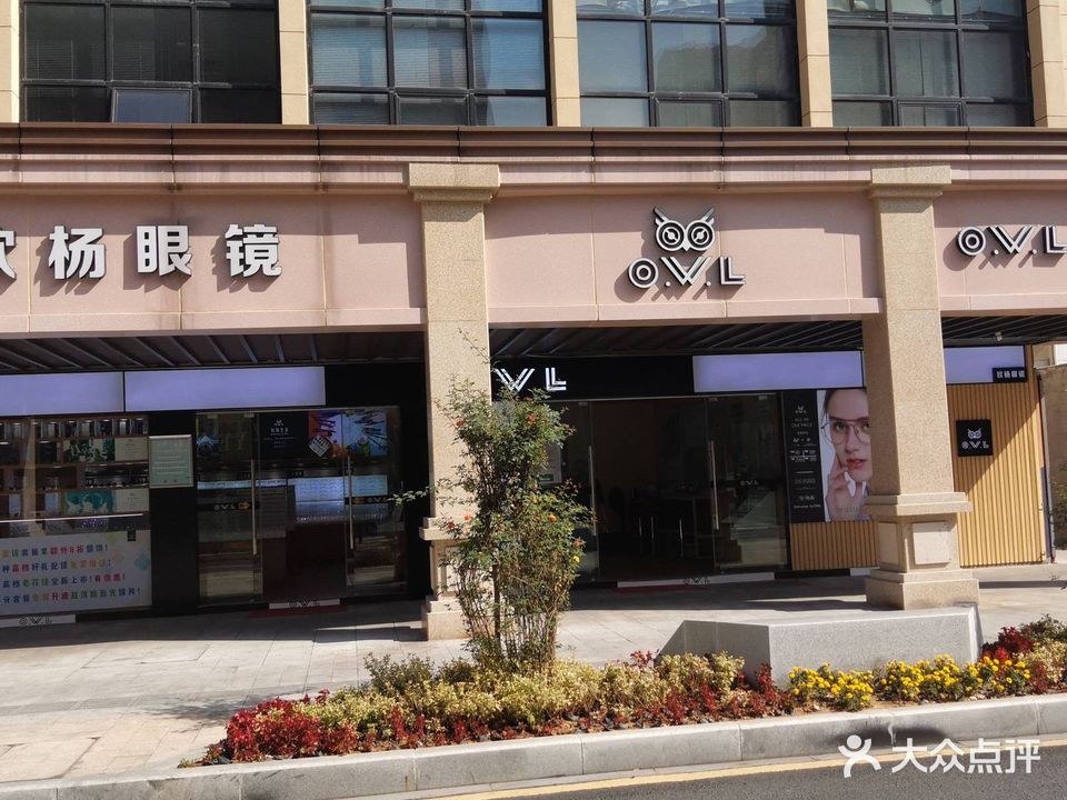 OWL(欧杨眼镜)