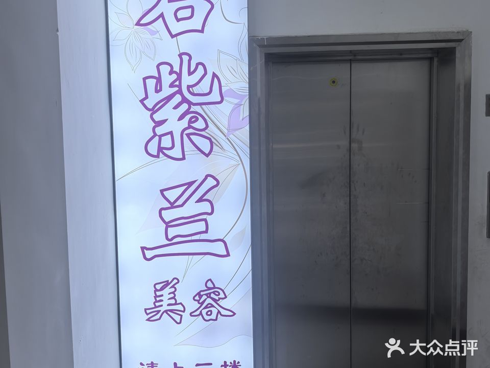 君紫兰