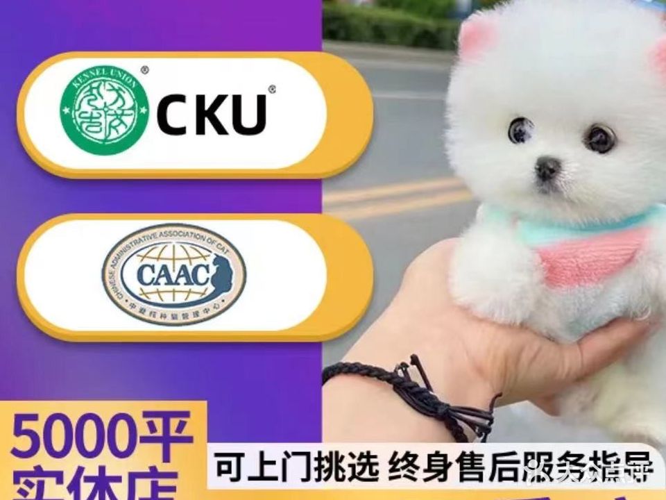 爱宠乐·猫舍犬舍宠物基地(星光城店)
