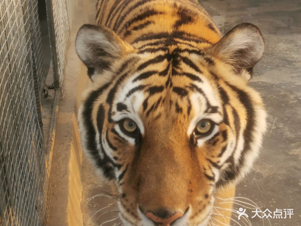 亳州野生动物园