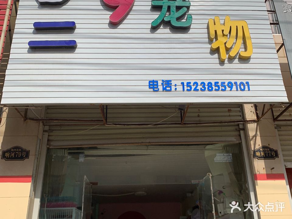 二9宠物