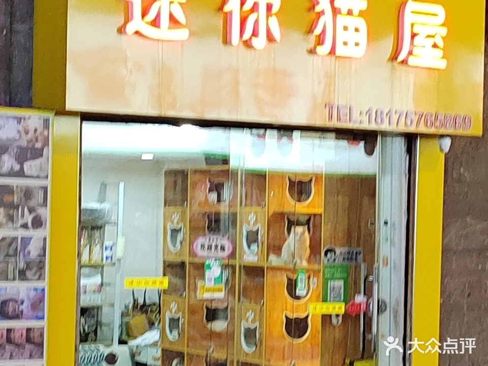 迷你猫屋