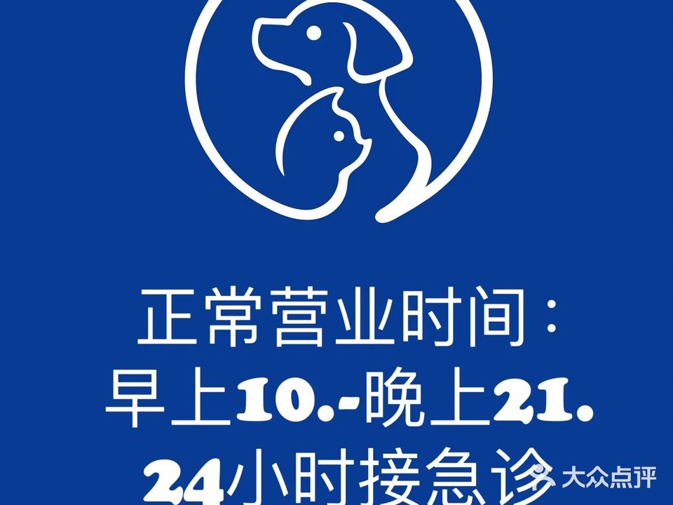 维特康宠物医院·犬猫专科·心超科