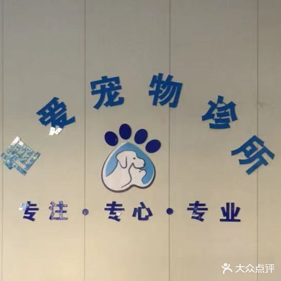 恒爱宠物诊所(金山角店)